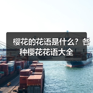 樱花的花语是什么?各种樱花花语大全(图2) 樱花的花语是什么?各种樱花花语大全(图2)