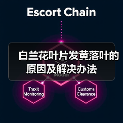 白兰花叶片发黄落叶的原因及解决办法（图1）