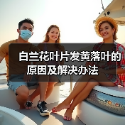 白兰花叶片发黄落叶的原因及解决办法（图3）