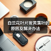 白兰花叶片发黄落叶的原因及解决办法（图4）