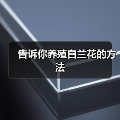 告诉你养殖白兰花的方法（图1）