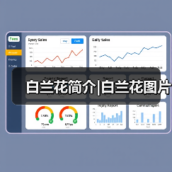 白兰花简介|白兰花图片(图2) 白兰花简介|白兰花图片(图2)