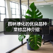 园林绿化的优良品种:菜棕品种介绍(图2) 园林绿化的优良品种:菜棕品种介绍(图2)
