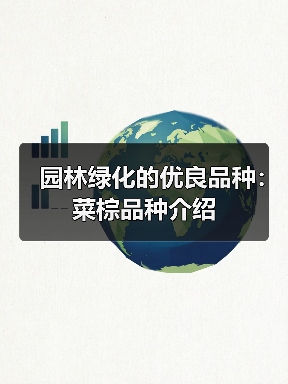 园林绿化的优良品种:菜棕品种介绍(图1) 园林绿化的优良品种:菜棕品种介绍(图1)