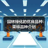 园林绿化的优良品种:菜棕品种介绍(图4) 园林绿化的优良品种:菜棕品种介绍(图4)