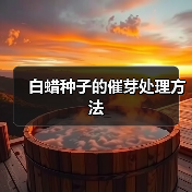 白蜡种子的催芽处理方法（图4）