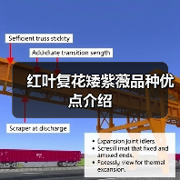 红叶复花矮紫薇品种优点介绍(图2) 红叶复花矮紫薇品种优点介绍(图2)