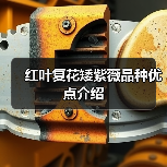 红叶复花矮紫薇品种优点介绍(图1) 红叶复花矮紫薇品种优点介绍(图1)