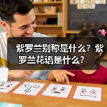 紫罗兰别称是什么?紫罗兰花语是什么?(图1) 紫罗兰别称是什么?紫罗兰花语是什么?(图1)