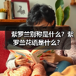 紫罗兰别称是什么?紫罗兰花语是什么?(图2) 紫罗兰别称是什么?紫罗兰花语是什么?(图2)