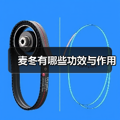 麦冬有哪些功效与作用（图3）