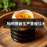杨树苗圃生产管理技术(图3) 杨树苗圃生产管理技术(图3)