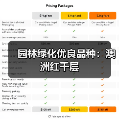 园林绿化优良品种：澳洲红千层（图3）