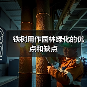 铁树用作园林绿化的优点和缺点（图4）