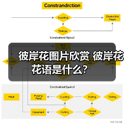 彼岸花图片欣赏 彼岸花花语是什么?(图2) 彼岸花图片欣赏 彼岸花花语是什么?(图2)