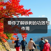 带你了解铁树的功效与作用（图3）