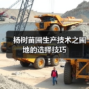 杨树苗圃生产技术之圃地的选择技巧(图3) 杨树苗圃生产技术之圃地的选择技巧(图3)