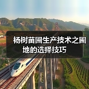 杨树苗圃生产技术之圃地的选择技巧(图4) 杨树苗圃生产技术之圃地的选择技巧(图4)