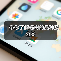 带你了解杨树的品种及分类（图3）