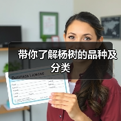 带你了解杨树的品种及分类（图4）