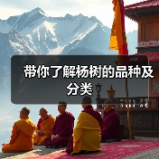 带你了解杨树的品种及分类（图2）