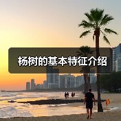 杨树的基本特征介绍（图2）