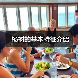 杨树的基本特征介绍（图4）