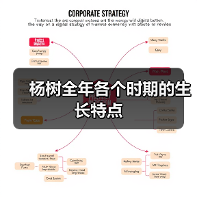 杨树全年各个时期的生长特点（图2）