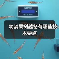 幼龄果树越冬有哪些技术要点(图3) 幼龄果树越冬有哪些技术要点(图3)