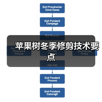 苹果树冬季修剪技术要点（图1）