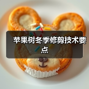 苹果树冬季修剪技术要点（图3）