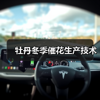 牡丹冬季催花生产技术(图2) 牡丹冬季催花生产技术(图2)