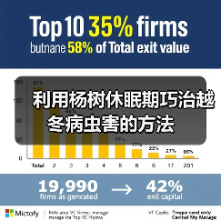 利用杨树休眠期巧治越冬病虫害的方法（图4）