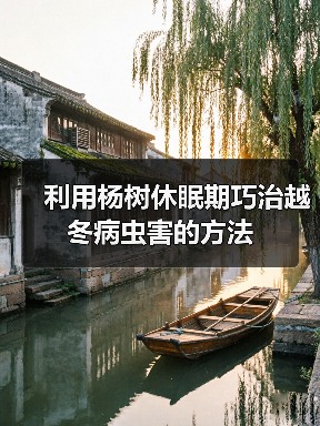 利用杨树休眠期巧治越冬病虫害的方法（图2）