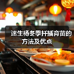 速生杨冬季扦插育苗的方法及优点（图3）
