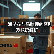 海芋花与马蹄莲的区别及花语解析(图4) 海芋花与马蹄莲的区别及花语解析(图4)