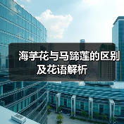 海芋花与马蹄莲的区别及花语解析(图1) 海芋花与马蹄莲的区别及花语解析(图1)