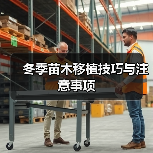 冬季苗木移植技巧与注意事项（图3）