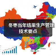 冬枣当年结果生产管理技术要点(图4) 冬枣当年结果生产管理技术要点(图4)
