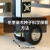 冬季苗木种子科学保管方法（图4）
