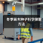 冬季苗木种子科学保管方法（图3）