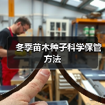 冬季苗木种子科学保管方法（图2）