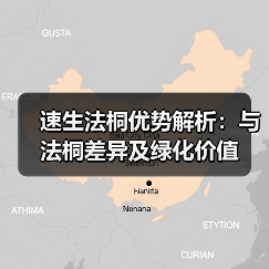 速生法桐优势解析:与法桐差异及绿化价值(图1) 速生法桐优势解析:与法桐差异及绿化价值(图1)