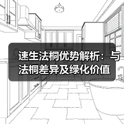速生法桐优势解析:与法桐差异及绿化价值(图4) 速生法桐优势解析:与法桐差异及绿化价值(图4)