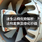 速生法桐优势解析:与法桐差异及绿化价值(图3) 速生法桐优势解析:与法桐差异及绿化价值(图3)