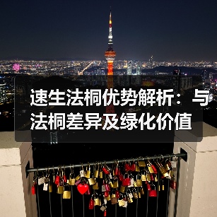 速生法桐优势解析:与法桐差异及绿化价值(图2) 速生法桐优势解析:与法桐差异及绿化价值(图2)