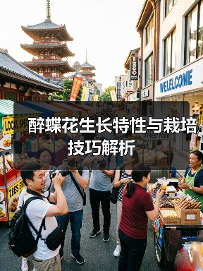 醉蝶花生长特性与栽培技巧解析（图3）