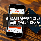 新疆大叶榆养护全攻略：如何打造城市绿化优选树种（图3）