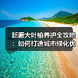 新疆大叶榆养护要点解析，如何高效管理城市