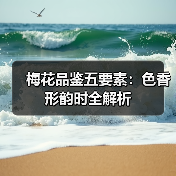 梅花品鉴五要素:色香形韵时全解析(图3) 梅花品鉴五要素:色香形韵时全解析(图3)